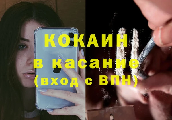 индика Абаза
