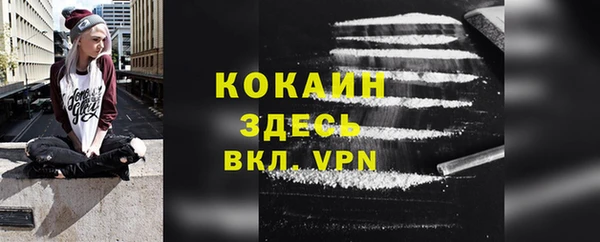 индика Абаза
