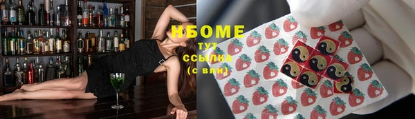 индика Абаза