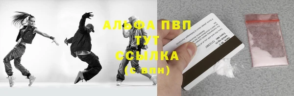индика Абаза
