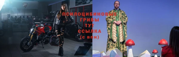 индика Абаза