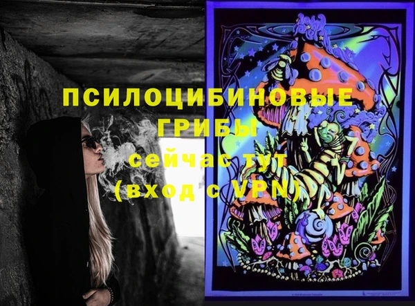 крисы Абдулино