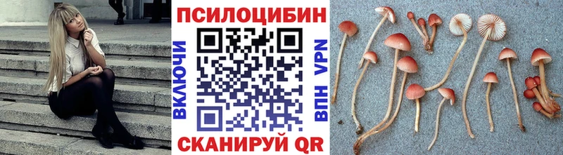 Галлюциногенные грибы MAGIC MUSHROOMS  Сальск 